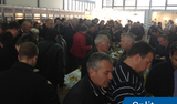 Schrack Technik INFO DANI 2015